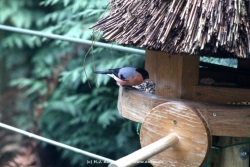 fotografie-15