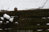 fotografie-18