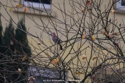 fotografie-6