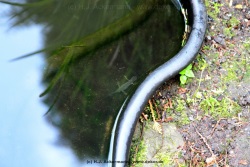 fotografie-10
