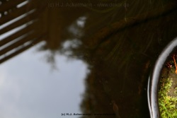 fotografie-11