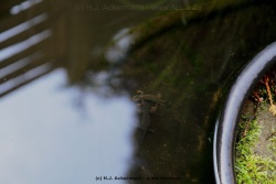 fotografie-12
