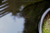fotografie-12
