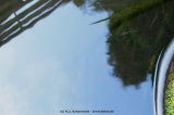 fotografie-16