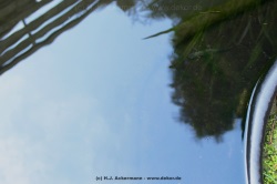 fotografie-16