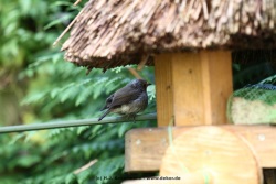 fotografie-2