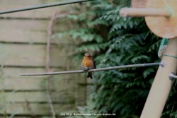 fotografie-41