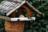 fotografie-49