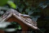 fotografie-11
