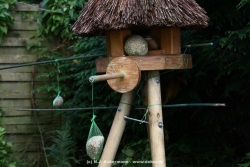 fotografie-31
