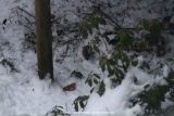 fotografie-5