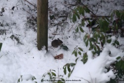 fotografie-10