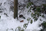 fotografie-10