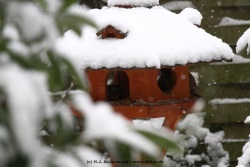 fotografie-6