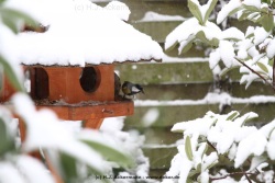 fotografie-12