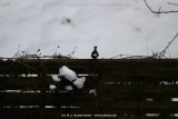 fotografie-22