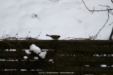 fotografie-23