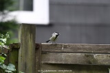 fotografie-5