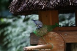 fotografie-15