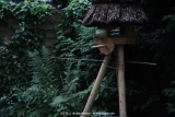 fotografie-18