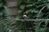 fotografie-21
