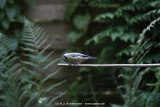 fotografie-23