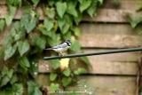 fotografie-64