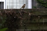 fotografie-96