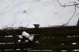 fotografie-2