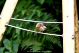 fotografie-3