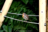 fotografie-5