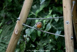 fotografie-17
