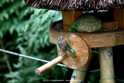 fotografie-19