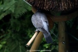 fotografie-1