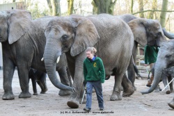 fotografie-21