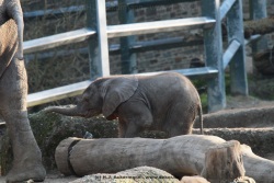 fotografie-13