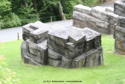 fotografie-7