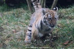 fotografie-4