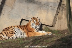 fotografie-1