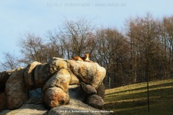 fotografie-1