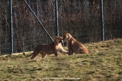 fotografie-14