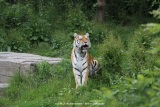 fotografie-6
