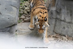 fotografie-16