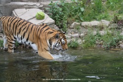 fotografie-25