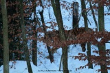 fotografie-19