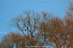 fotografie-42