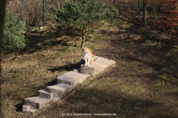 fotografie-1