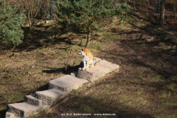 fotografie-2