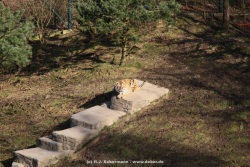 fotografie-4