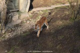 fotografie-16